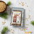 Premium Arabic Snobar (Çam Fıstığı) black pine nuts roasted lightly over a festive Middle Eastern rice pilaf dish.